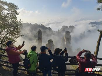 张家界国家森林公园初冬壮丽云海迎“小雪”_旅游_张家界站_红网-图10