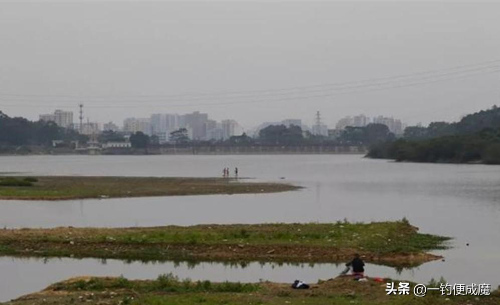 江河野钓翘嘴鱼，掌握这些技巧和钓法，轻松实现连竿爆护！  -图4