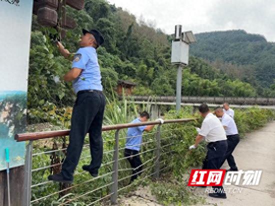 “五员一体”服务：张家界国家森林公园吴家峪门票站的坚守与奉献  -图1