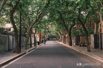 上海值得去的8个A 级景区，去过4个不简单，全部去过的就太幸福了  -图6