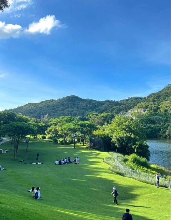 厦门跟团游7天6晚纯玩团，厦门一周旅游攻略自由行路线推荐  -图2