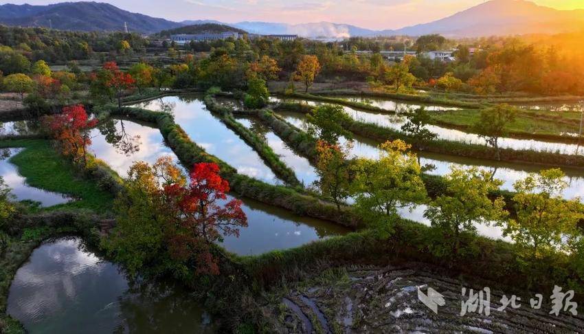 大悟：晨曦薄雾披金纱  望穿秋水织绮梦 -图2