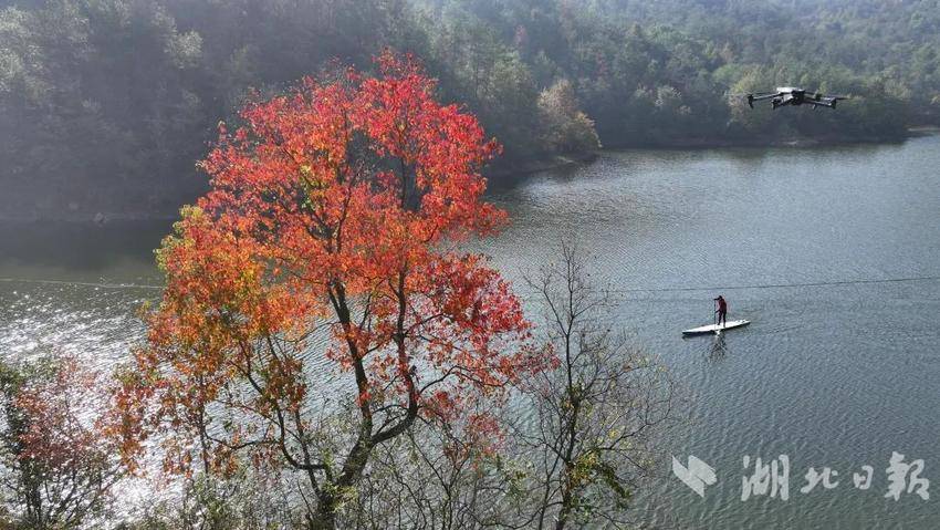 大悟：晨曦薄雾披金纱  望穿秋水织绮梦 -图11